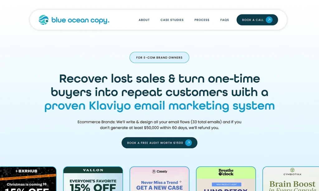 Blue Ocean Copy website by Neil Amponin